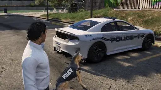 Advanced K9